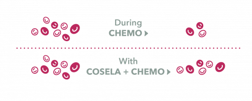 Treatment with Cosela and Chemo