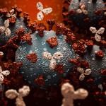 Monoclonal antibodies or immunoglobulin fighting against a group of coronavirus or covid cells
