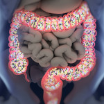 ilustration of intestines showing bacterium