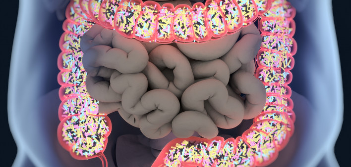 ilustration of intestines showing bacterium