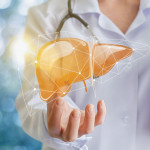 Doctor and liver illustration