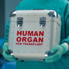 man carrying human organ in box