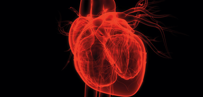 red colored x-ray of heard and vessels