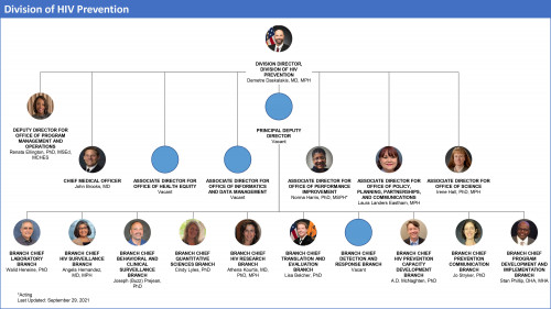A graph illustrates how the federal Division of HIV Prevention is organized as of October 1, 2021.