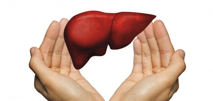 hands and liver illustration