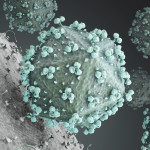 hiv virus
