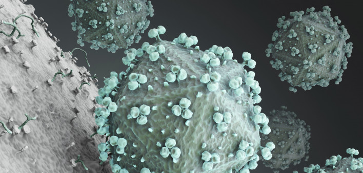 hiv virus