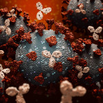 Monoclonal antibodies or immunoglobulin fighting against a group of coronavirus or covid cells