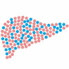 illustration of pills in shape of liver