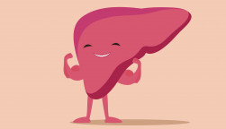 illustration of liver flexing muscles