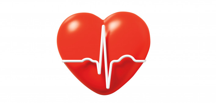 heart and beat wave illustration
