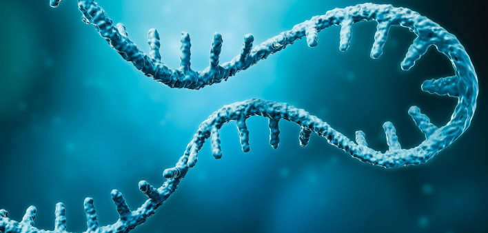 Messenger RNA or mRNA strand 3D rendering i