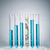test tubes with blue liquid and money in one tube