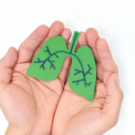 hands holding model of lungs illustration