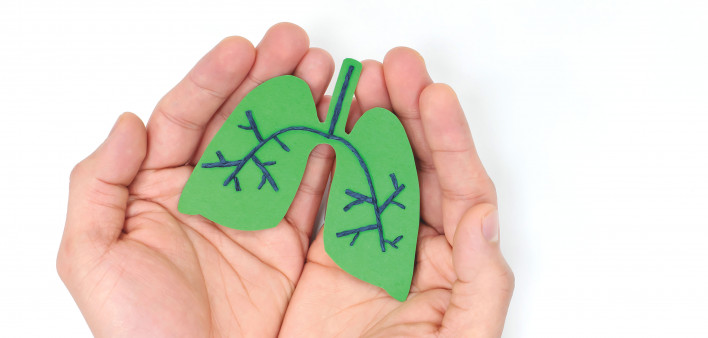 hands holding model of lungs illustration