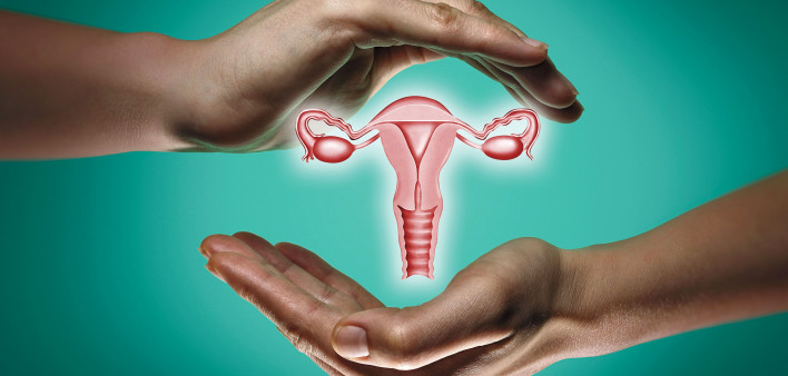 hands and female reproductive system illustration