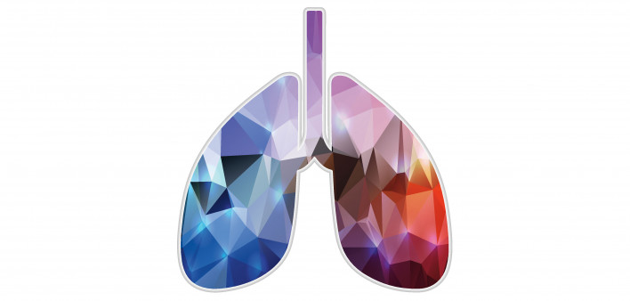 illustration of lungs