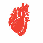 illustration of heart