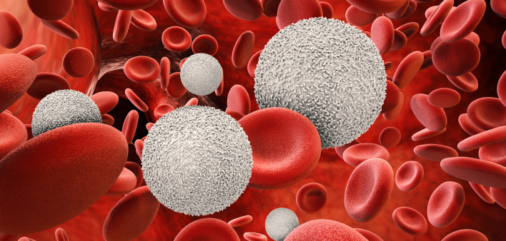 White blood cells with red blood cells