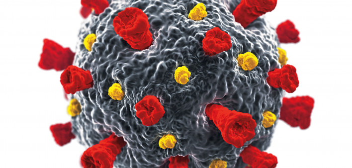 coronavirus