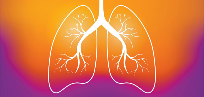 illustration outline of lungs