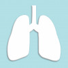 illustration lungs