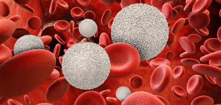 White blood cells with red blood cells