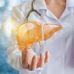 Doctor and liver illustration
