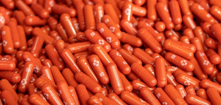 molnupiravir Merck COVID-19