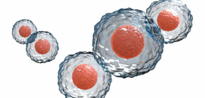 Stem cells on white bg