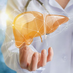 Doctor and liver illustration