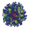 Computer image of the eOD-GT8 immune-stimulating protein.