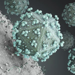 hiv virus
