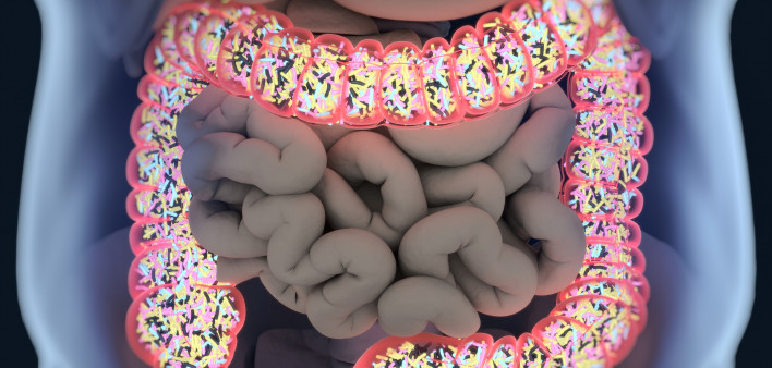 ilustration of intestines showing bacterium