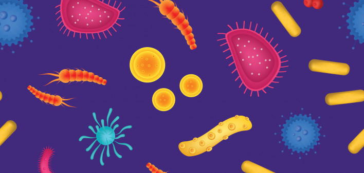 colorful illustration of microbes