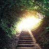 stairs on path in woods leading up to a sunlit opening