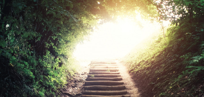 stairs on path in woods leading up to a sunlit opening