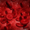 Red blood cells