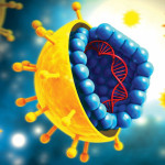HCV Virus
