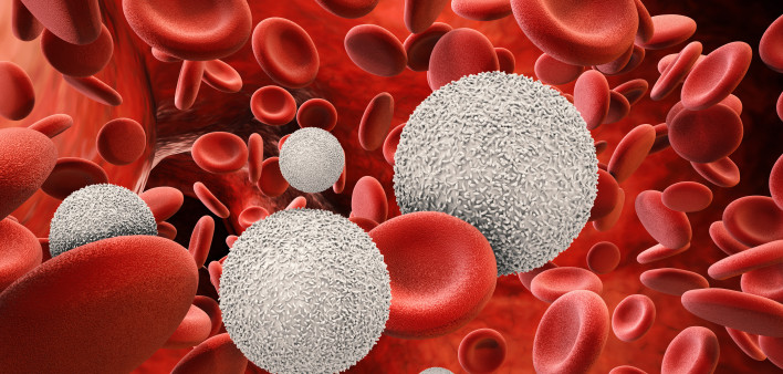 White blood cells with red blood cells