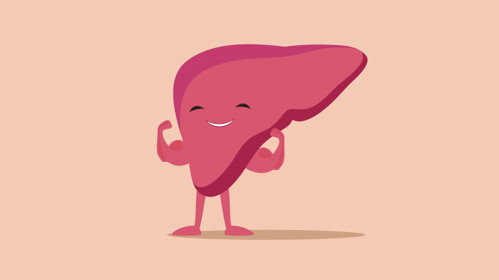 illustration of liver flexing muscles