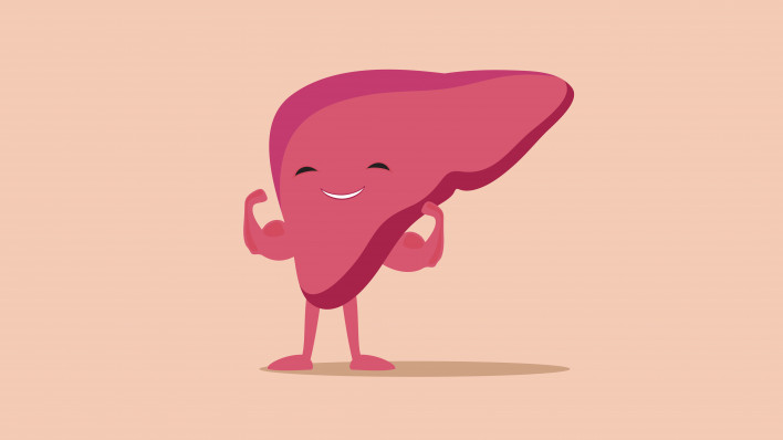 illustration of liver flexing muscles