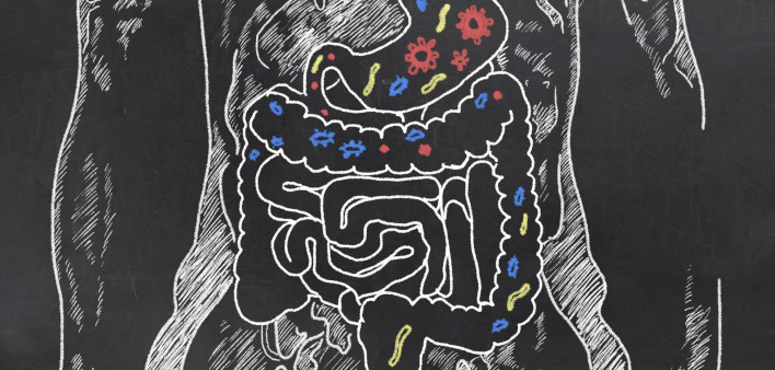 gut-bacteria