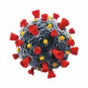 Coronavirus Covid-19