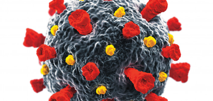 Coronavirus Covid-19