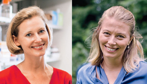 Christine Hodgdon (left) and Julia Maués (right)