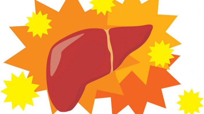 liver and star bursts illustration