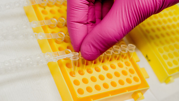 genetic testing