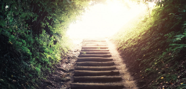 stairs on path in woods leading up to a sunlit opening