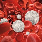 3d rendering white blood cells with red blood cells